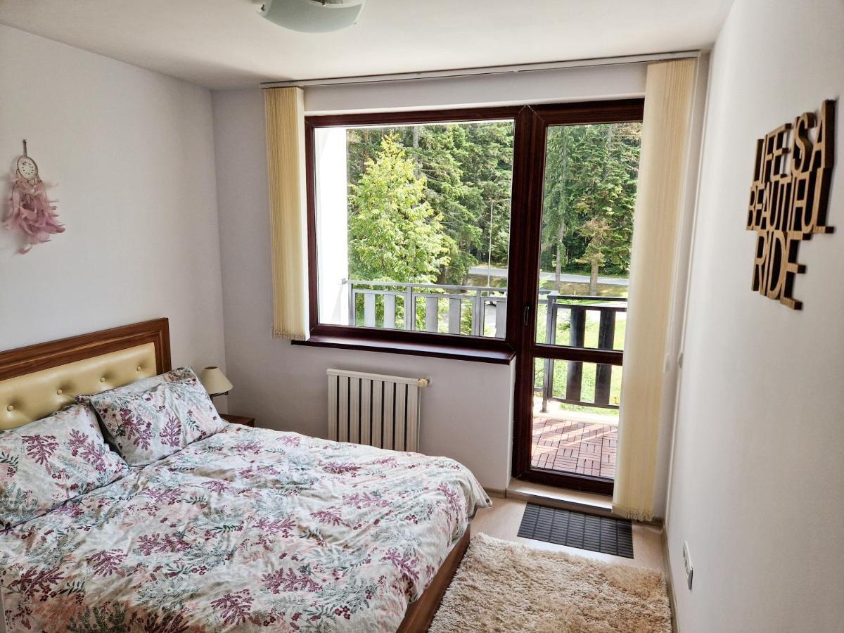 Sunny Apartment C25 Borovets Eksteriør billede